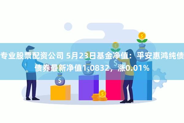 专业股票配资公司 5月23日基金净值：平安惠鸿纯债债券最新净值1.0832，涨0.01%