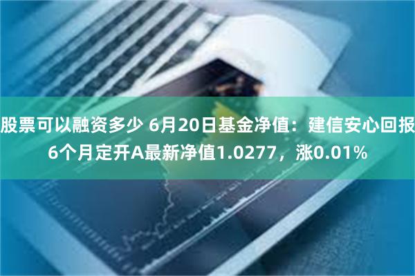 股票可以融资多少 6月20日基金净值：建信安心回报6个月定开A最新净值1.0277，涨0.01%