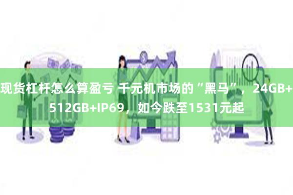 现货杠杆怎么算盈亏 千元机市场的“黑马”，24GB+512GB+IP69，如今跌至1531元起