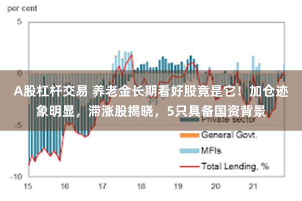 A股杠杆交易 养老金长期看好股竟是它！加仓迹象明显，滞涨股揭晓，5只具备国资背景