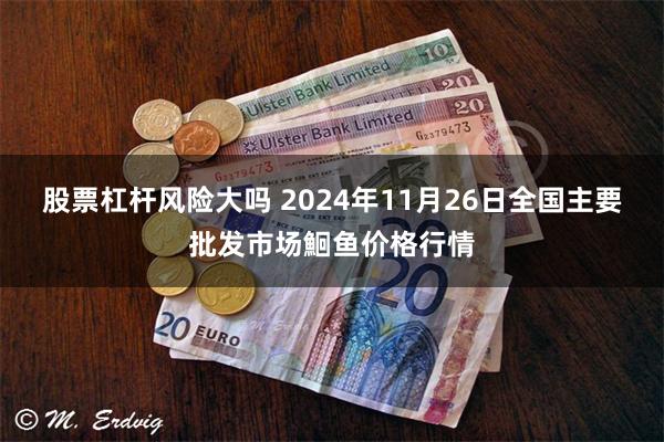 股票杠杆风险大吗 2024年11月26日全国主要批发市场鮰鱼价格行情