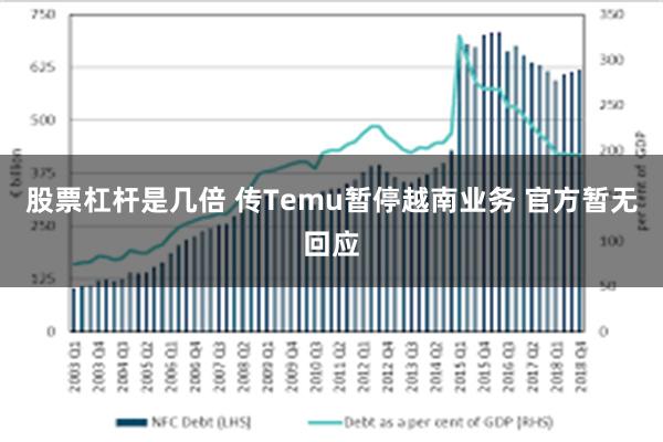 股票杠杆是几倍 传Temu暂停越南业务 官方暂无回应