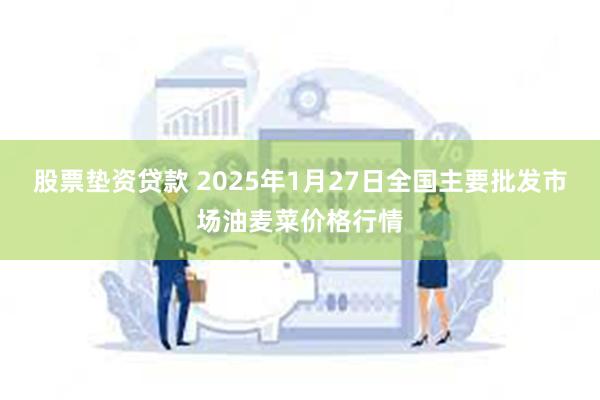 股票垫资贷款 2025年1月27日全国主要批发市场油麦菜价格行情