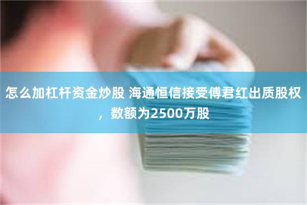 怎么加杠杆资金炒股 海通恒信接受傅君红出质股权，数额为2500万股