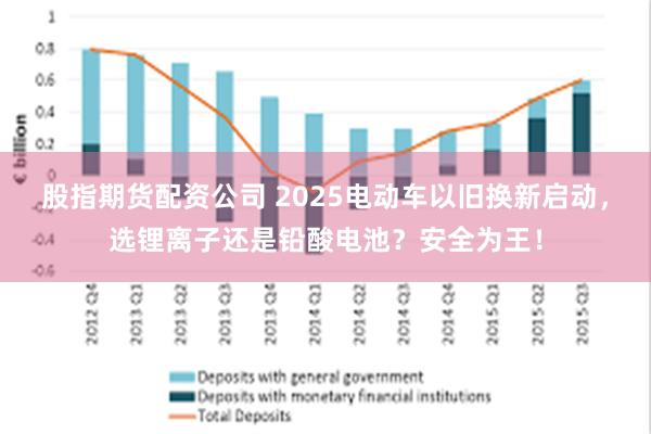 股指期货配资公司 2025电动车以旧换新启动，选锂离子还是铅酸电池？安全为王！